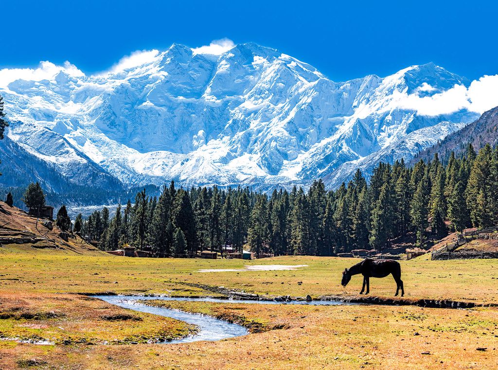 Photo №7 of Nanga Parbat